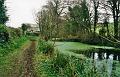 budecanal068