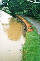 budecanal522