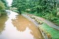 budecanal523
