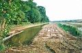 budecanal516