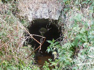 Uncovered culvert arch on Neil Hutson's land - near the Hump